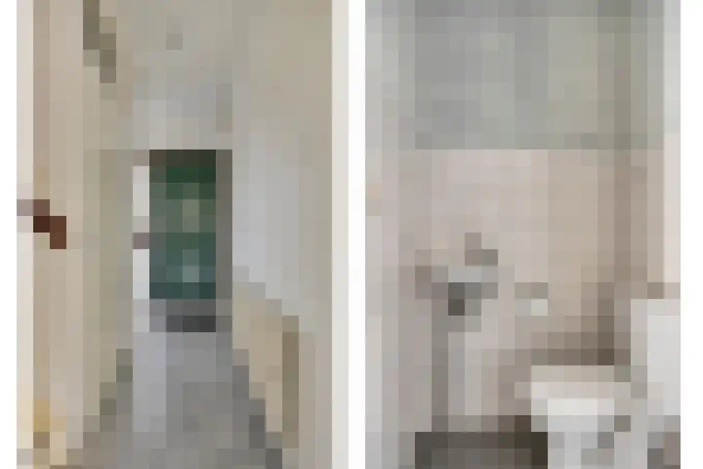 Weerselosestraat 214 Borne thumbnail 8