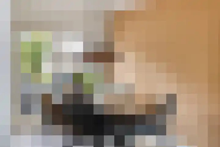 Weerselosestraat 241 Borne thumbnail 10