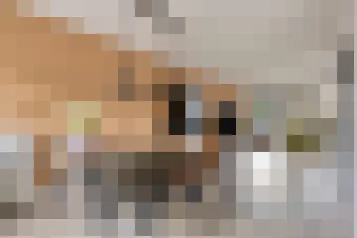 Weerselosestraat 241 Borne thumbnail 11