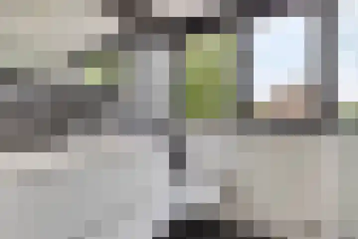 Weerselosestraat 241 Borne thumbnail 18