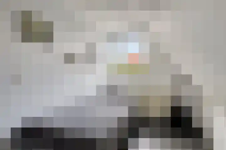 Weerselosestraat 241 Borne thumbnail 20