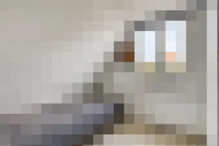 Weerselosestraat 241 Borne thumbnail 21