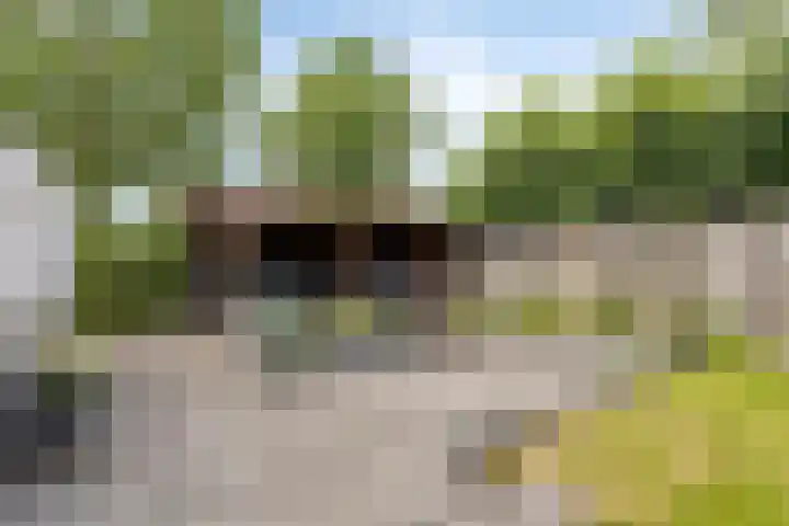 Weerselosestraat 241 Borne thumbnail 24