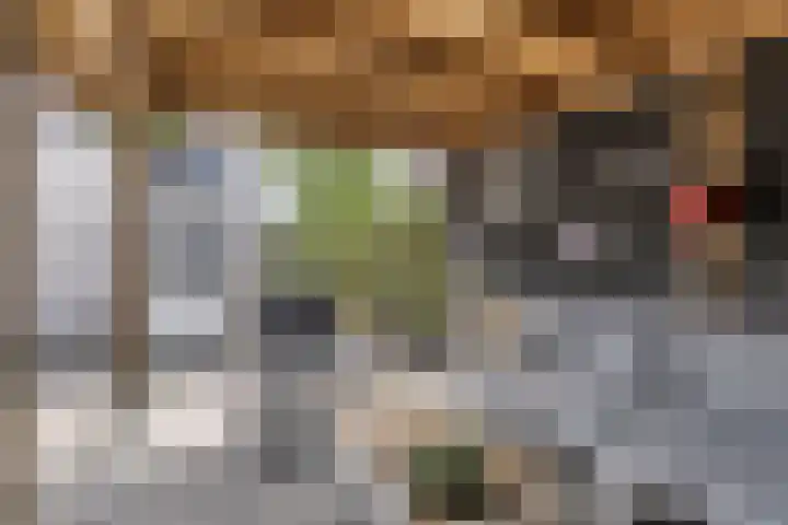 Weerselosestraat 241 Borne thumbnail 26