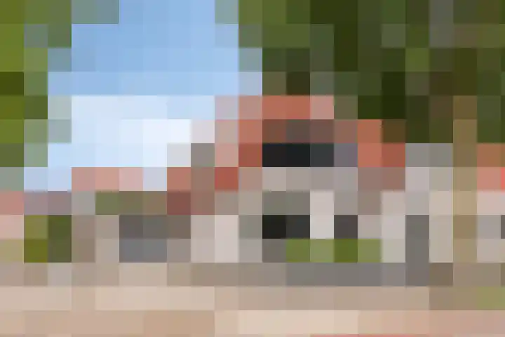 Weerselosestraat 241 Borne thumbnail 34