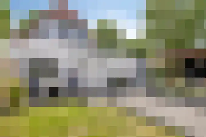 Weerselosestraat 241 Borne thumbnail 5