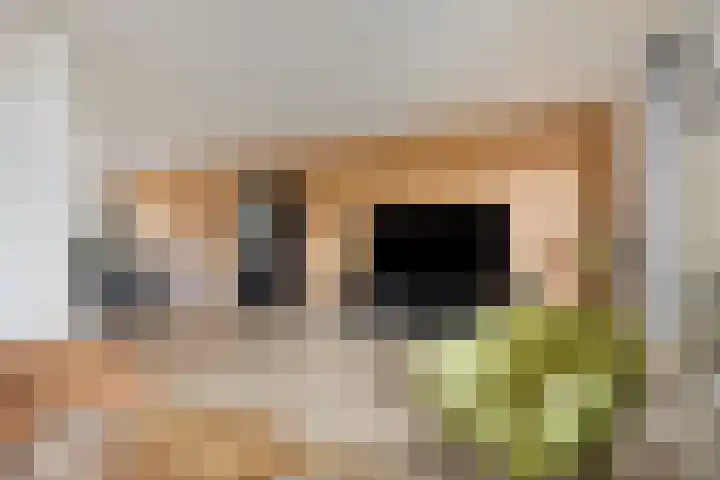 Weerselosestraat 241 Borne thumbnail 8