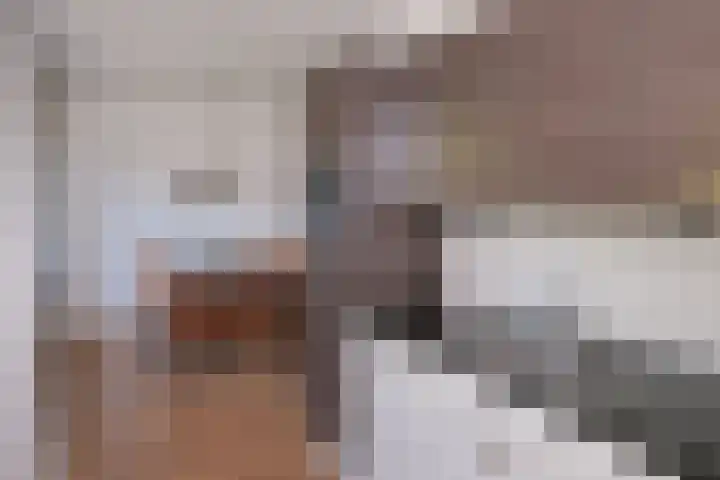 Weerselosestraat 269 Borne thumbnail 10