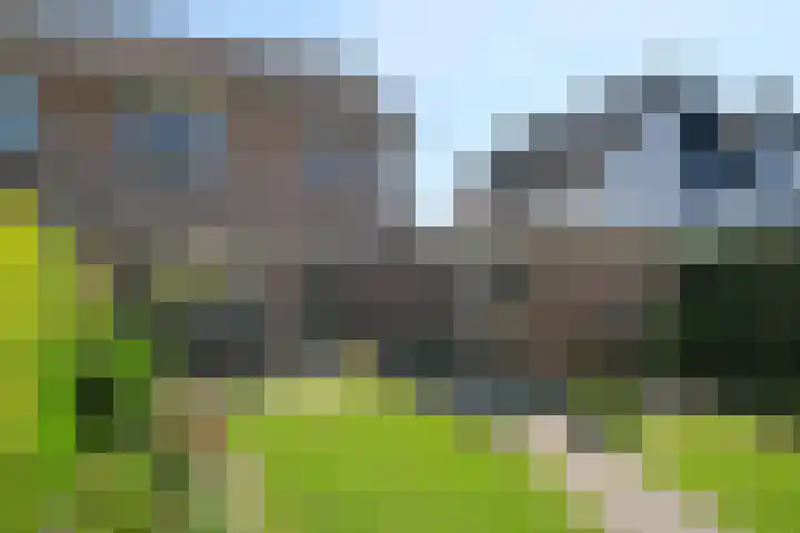 Weerselosestraat 269 Borne thumbnail 11