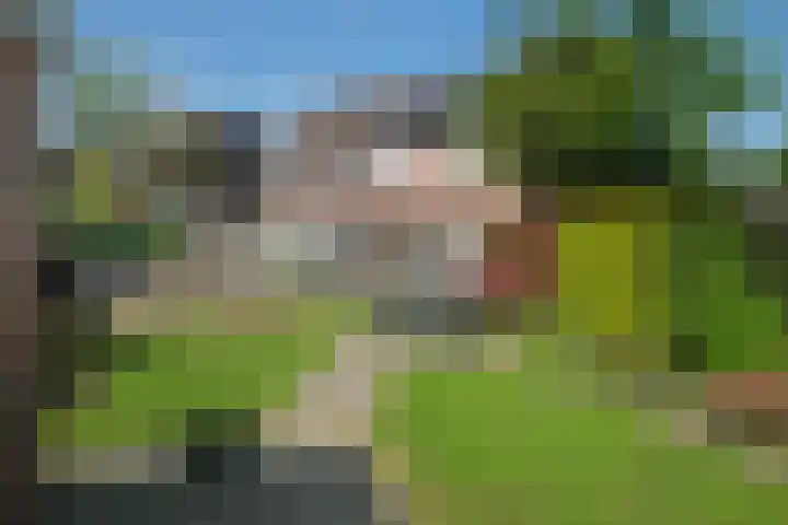 Weerselosestraat 269 Borne thumbnail 13