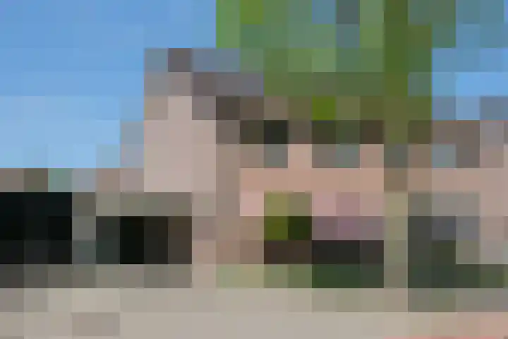 Weerselosestraat 269 Borne thumbnail 23