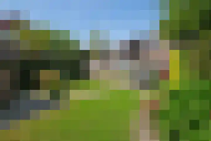 Weerselosestraat 269 Borne thumbnail 4
