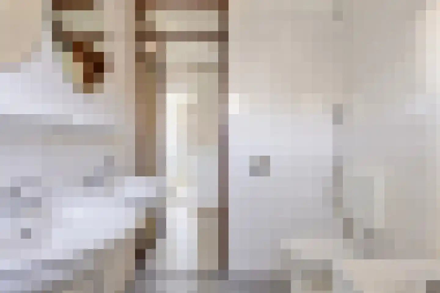 Weerselosestraat 287 Borne thumbnail 19