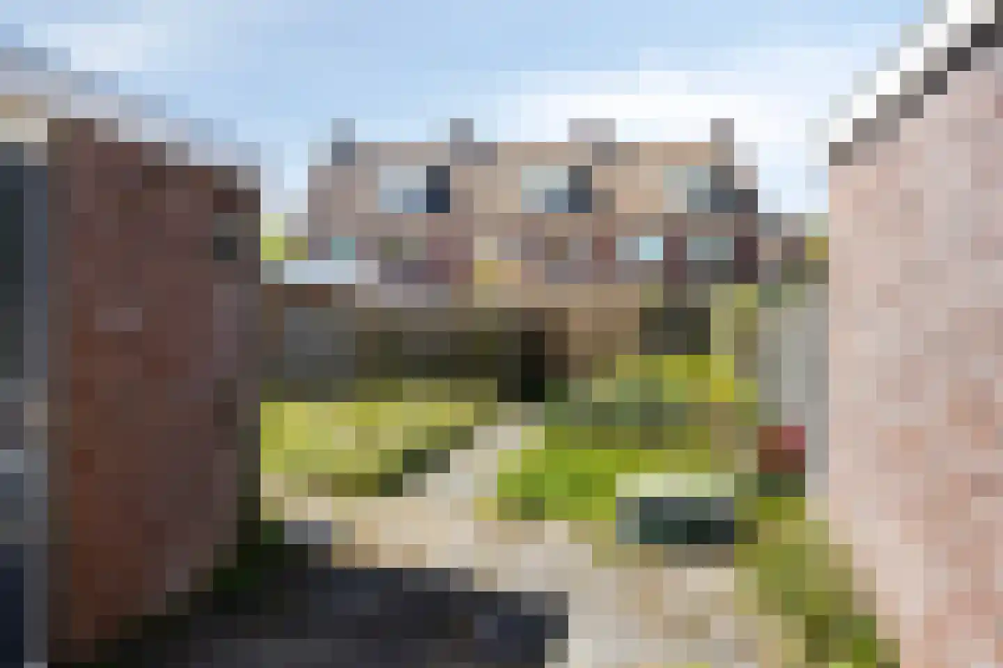 Weerselosestraat 287 Borne thumbnail 29