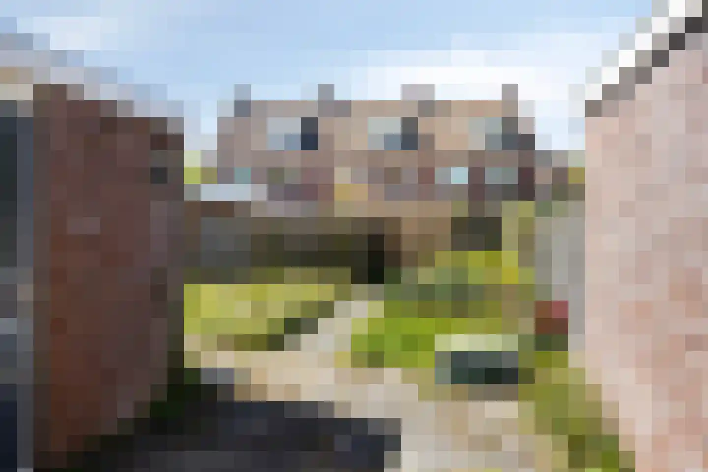 Weerselosestraat 287 Borne thumbnail 29