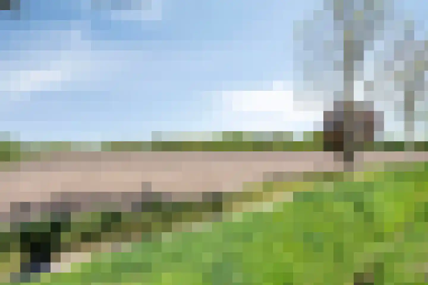 Weerselosestraat 287 Borne thumbnail 33