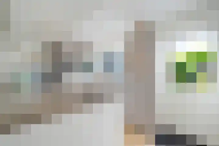 Weerselosestraat 74 Borne thumbnail 11