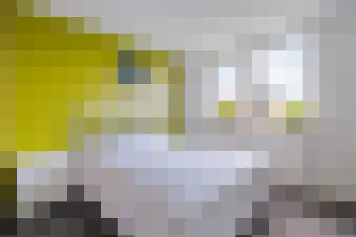 Weerselosestraat 74 Borne thumbnail 18