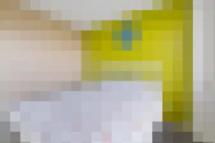 Weerselosestraat 74 Borne thumbnail 19
