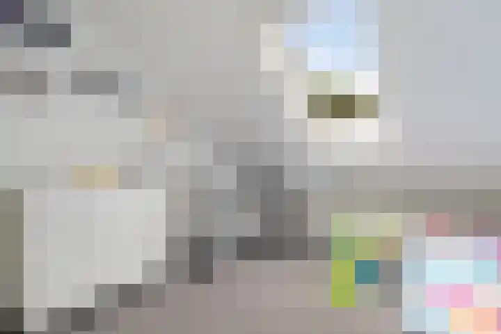 Weerselosestraat 74 Borne thumbnail 26