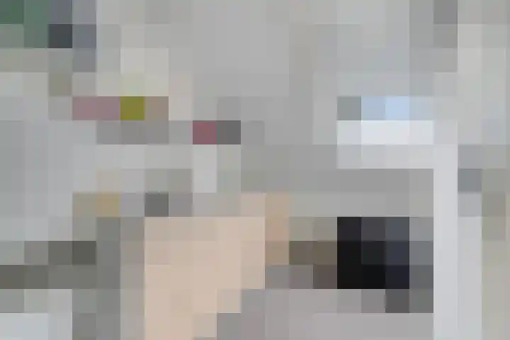 Weerselosestraat 74 Borne thumbnail 28