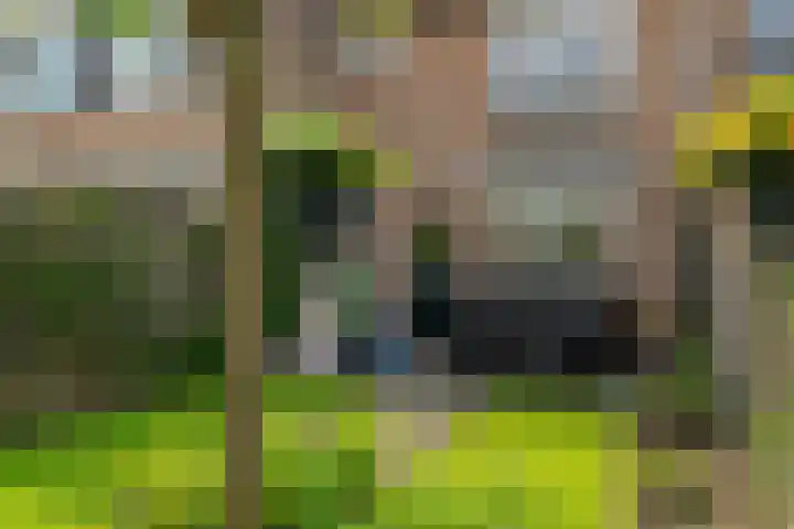Weerselosestraat 74 Borne thumbnail 31