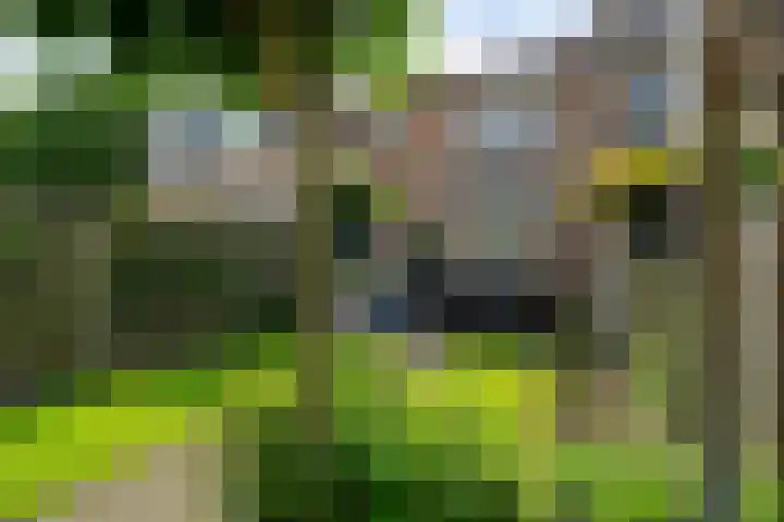 Weerselosestraat 74 Borne thumbnail 32
