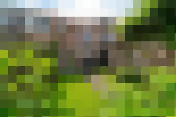 Weerselosestraat 74 Borne thumbnail 33