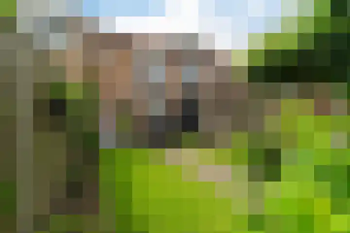 Weerselosestraat 74 Borne thumbnail 34