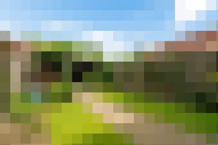 Weerselosestraat 74 Borne thumbnail 38