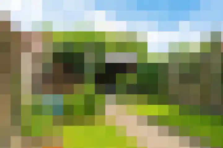 Weerselosestraat 74 Borne thumbnail 39