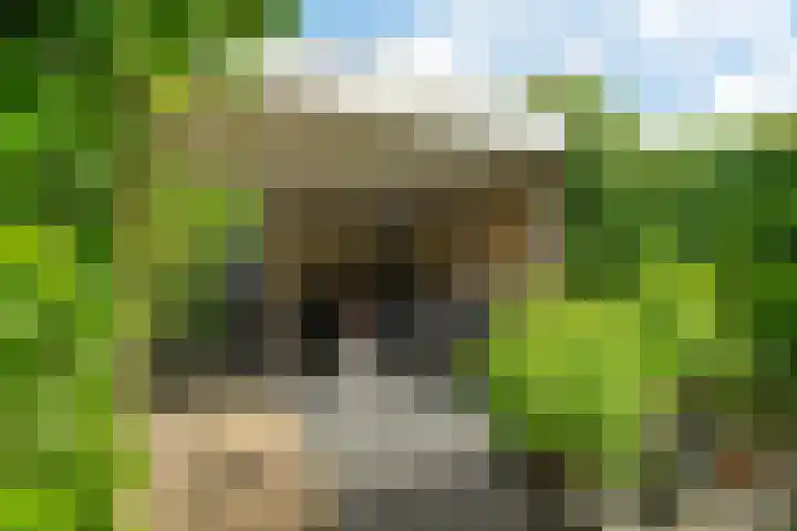 Weerselosestraat 74 Borne thumbnail 4