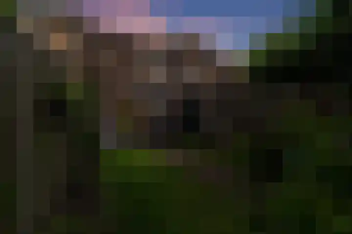 Weerselosestraat 74 Borne thumbnail 41
