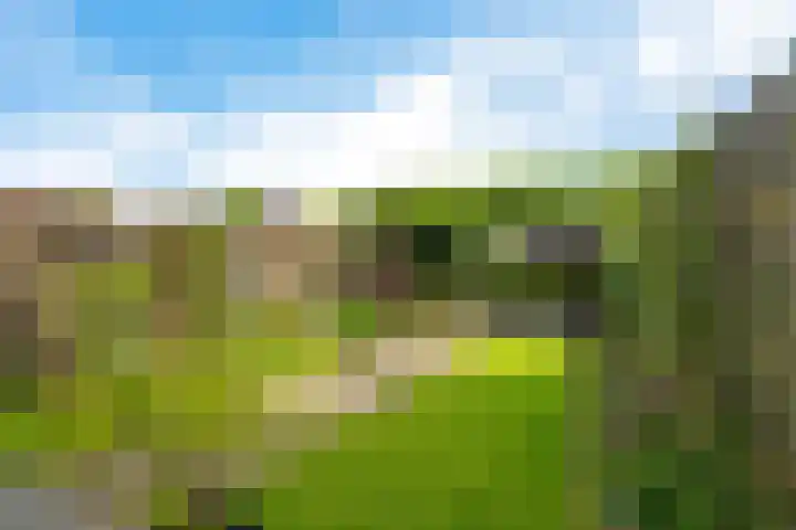 Weerselosestraat 74 Borne thumbnail 5
