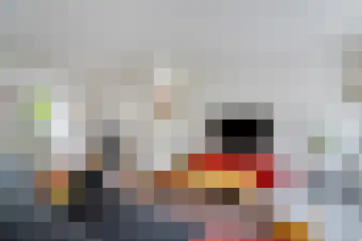 Weerselosestraat 74 Borne thumbnail 7
