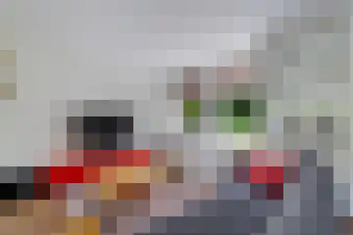 Weerselosestraat 74 Borne thumbnail 8