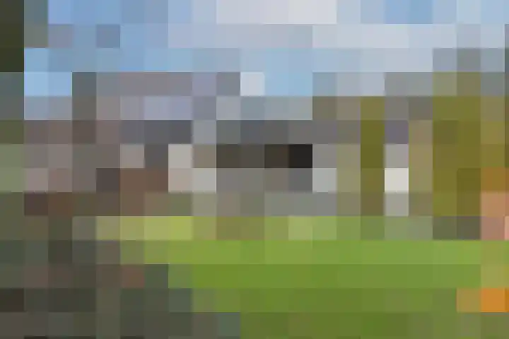 Weerselosestraat 9 Oldenzaal thumbnail 6