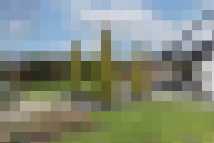Weerselosestraat 9 Oldenzaal thumbnail 7