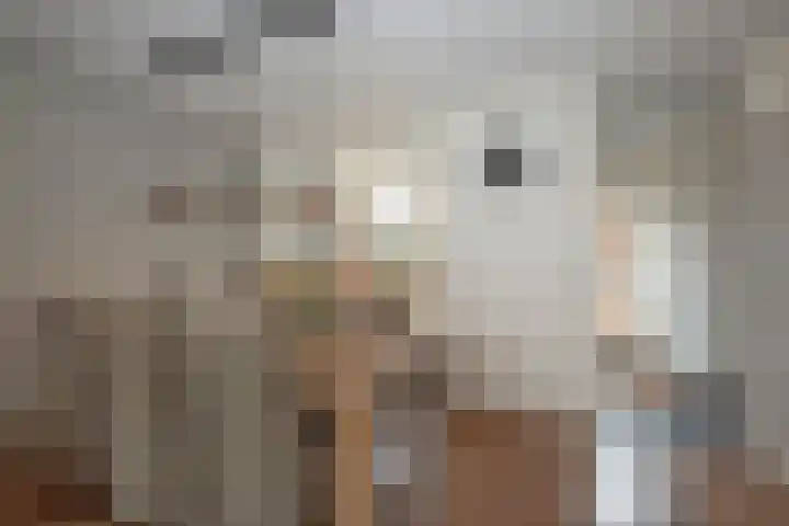 Weerselosestraat 96 Borne thumbnail 12