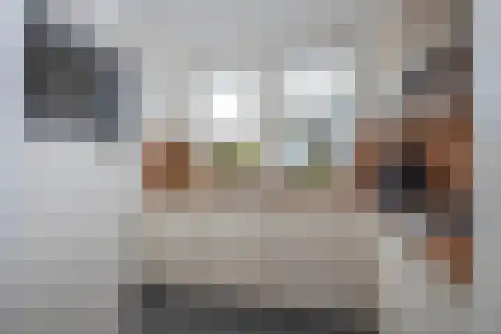 Weerselosestraat 96 Borne thumbnail 13