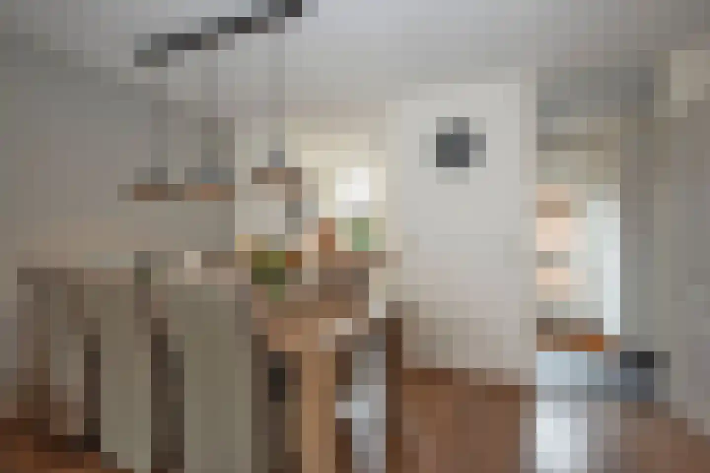 Weerselosestraat 96 Borne thumbnail 13
