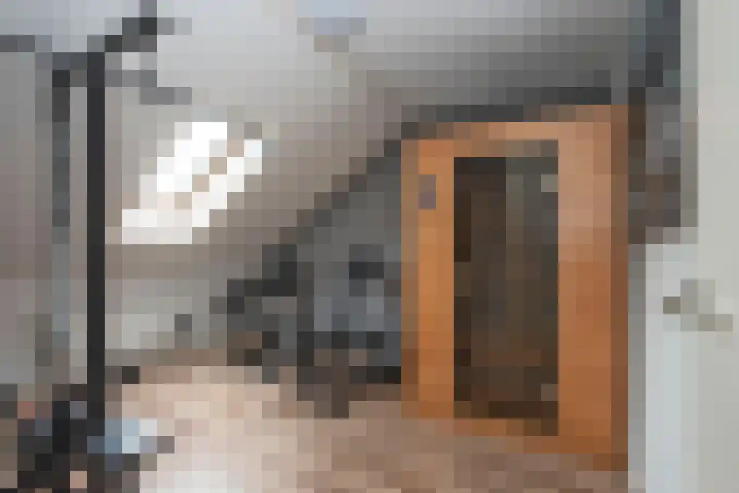 Weerselosestraat 96 Borne thumbnail 20