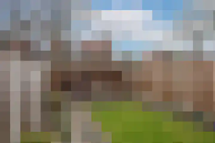 Weerselosestraat 96 Borne thumbnail 26