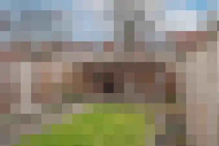 Weerselosestraat 96 Borne thumbnail 27