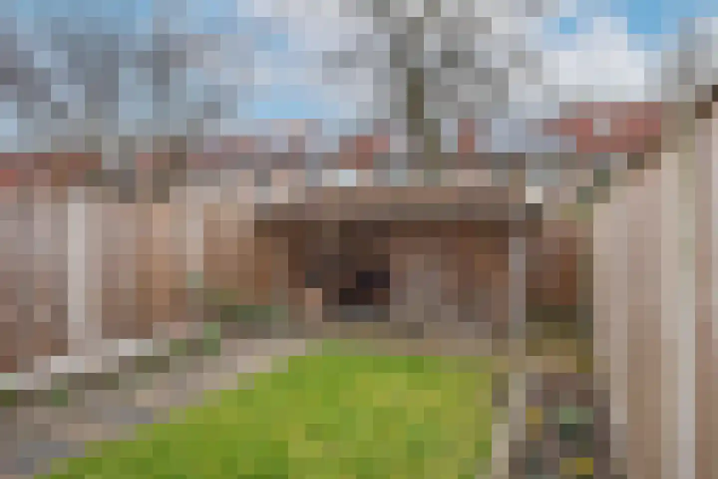 Weerselosestraat 96 Borne thumbnail 27