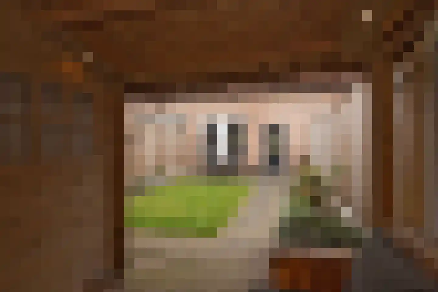 Weerselosestraat 96 Borne thumbnail 30