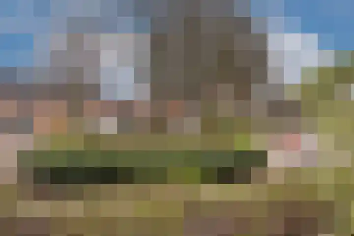 Weerselosestraat 96 Borne thumbnail 34