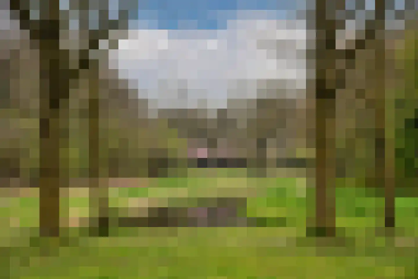 Weerselosestraat 96 Borne thumbnail 35
