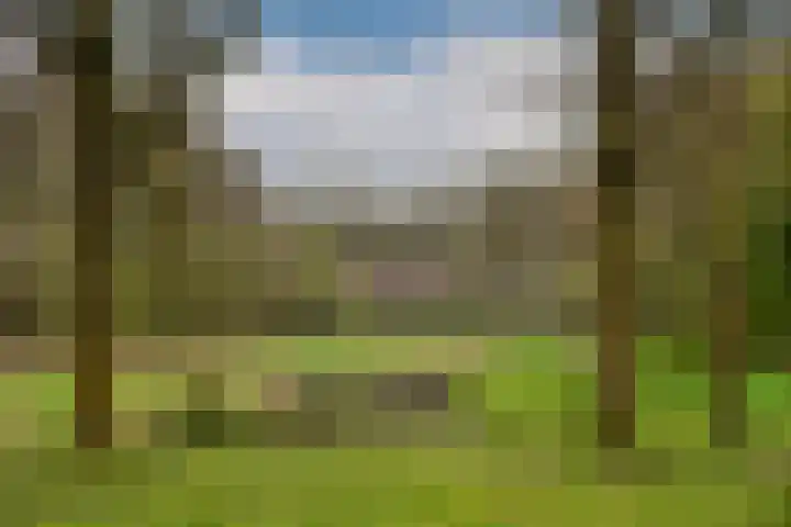 Weerselosestraat 96 Borne thumbnail 35