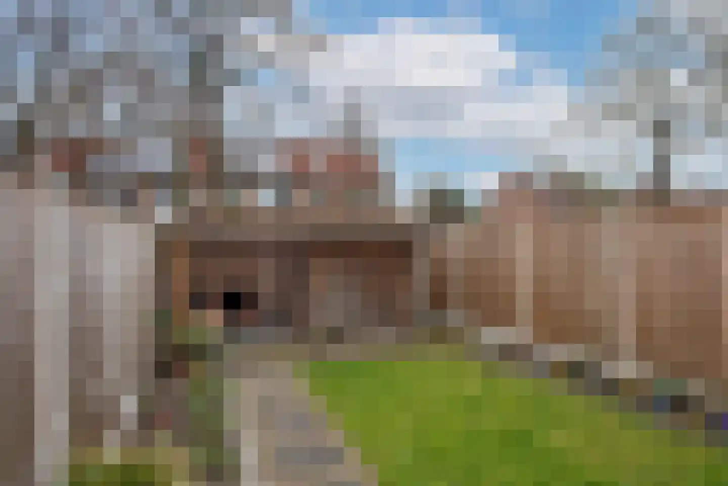 Weerselosestraat 96 Borne thumbnail 4